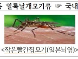 경기도, 김포시와 파주시에 ‘말라리아 경보’ 발령 기사 이미지