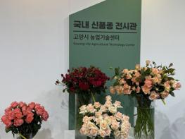 고양시 자체개발 장미 품종, 고양국제꽃박람회 전시 기사 이미지