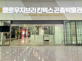 킨텍스, 곤충 박물관 '옐로우지브라' 5일 어린이 날 첫 개관 기사 이미지