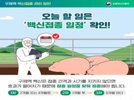 파주시, 9월 한 달간 소·염소 구제역 백신 일제접종 기사 이미지