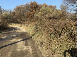 파주시, 겨울철 폭설 대비 아프리카돼지열병(ASF) 차단 철망울타리 점검 기사 이미지