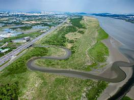 3만 마리 철새는 왜 장항습지를 찾나?… 기사 이미지