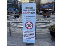 고양시, 비둘기 등 유해야생동물 먹이주기 금지구역 10개소 지정 기사 이미지