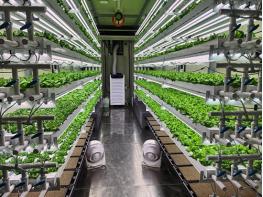 고양시, ‘수직형 스마트팜 시범사업' 첫 단추 꿰다 기사 이미지