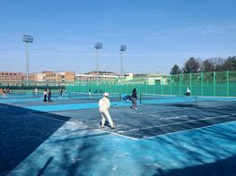 고양시, 2026년 생활체육대회 개막  기사 이미지