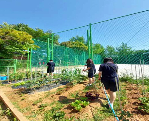 파주시, 청소년 도시농업전문가 양성교육 … 직접 심고, 가꾸며 배우는 도시농업의 가치