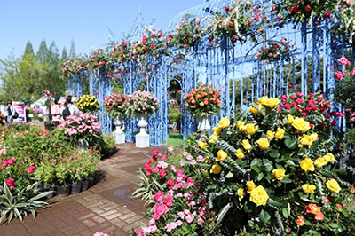 2026고양국제꽃박람회, 1억 송이의 꽃의 향연