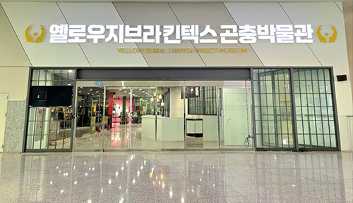 옐로우지브라 킨텍스 곤충박물관, 어린이날 맞아 '식충식물 생태 탐험과 추억의 미션뽑기' 축제