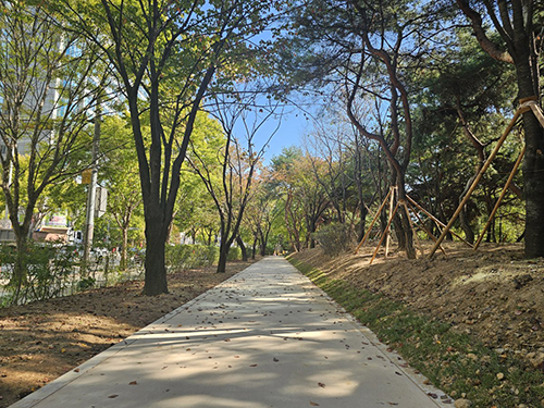 고양시, 일산호수공원 자전거 등 우회도로 1.6km 조성 완료